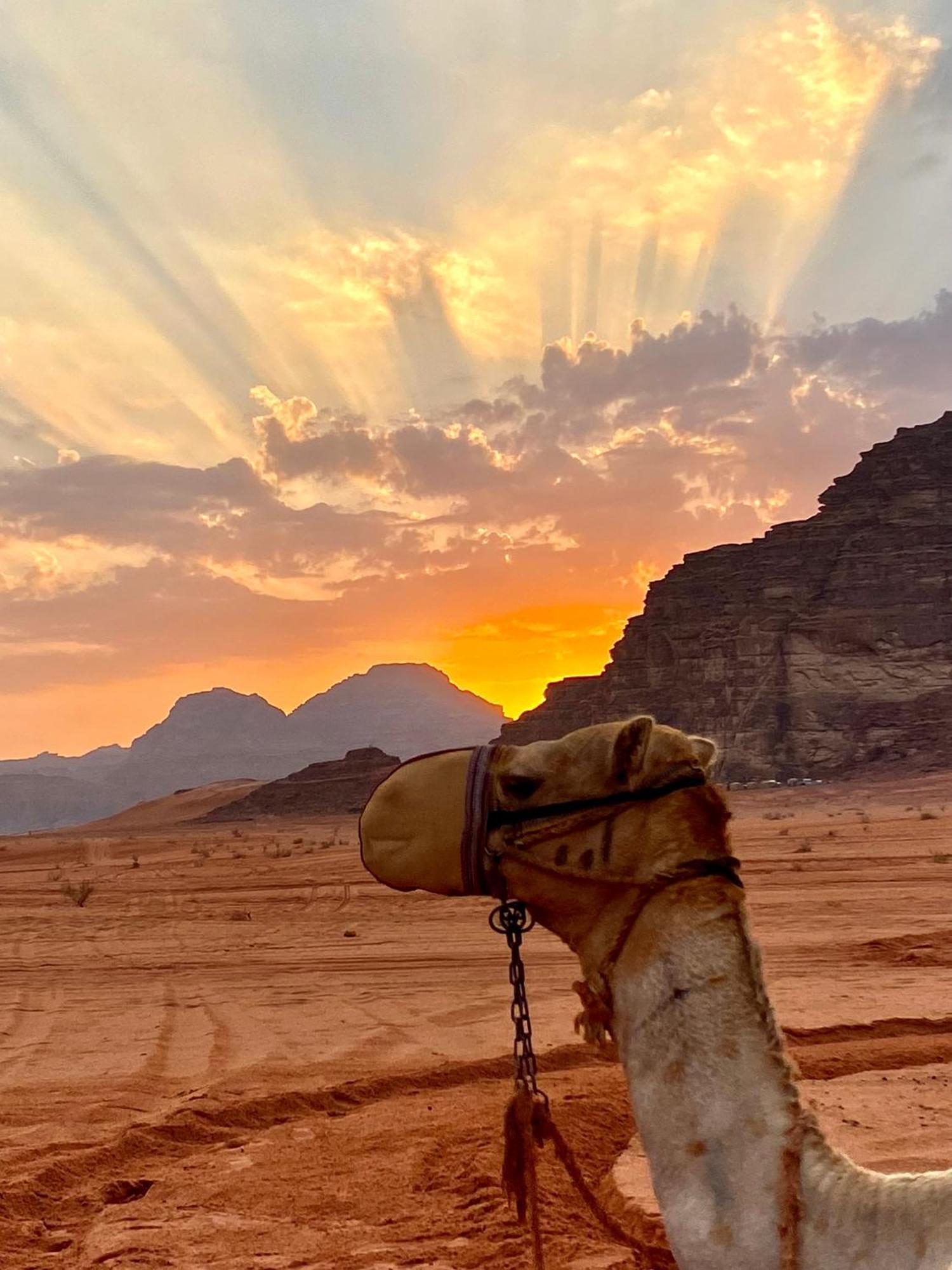 Rum Relaxation Luxury Camp Wadi Rum Luaran gambar